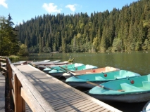 DSCN0356