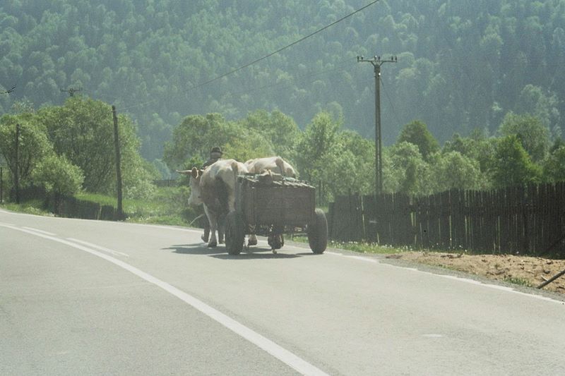 Sådanne transporter ser man den dag i dag på vejene i Rumænien.